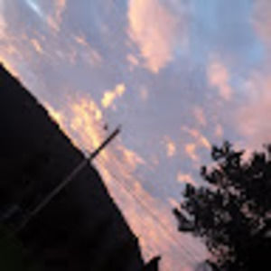 Meet your Posher, Morganizer